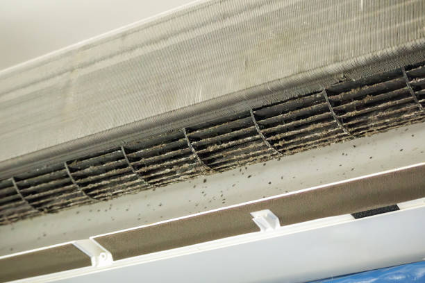 Best Air Duct Cleaning Near Me  in Redland, MD